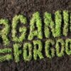 有機用品店生意轉讓純利可達$68,000旺角位於商業大廈優良業務位置具增長空間裝修企理節省大量裝修成本連公司連銀行戶口生意頂讓 1