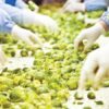食物工場生意轉讓純利可達$81,800客底約5000屯門位於地舖優良業務位置具增長空間業績相對穩定穩健生意頂讓 1
