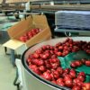 食物工場資產頂讓具食物製造廠牌照屯門總投資額約$300,000口碑良好裝修保養好節省大量裝修時間已有一定客源保障收入生意資產轉讓 1